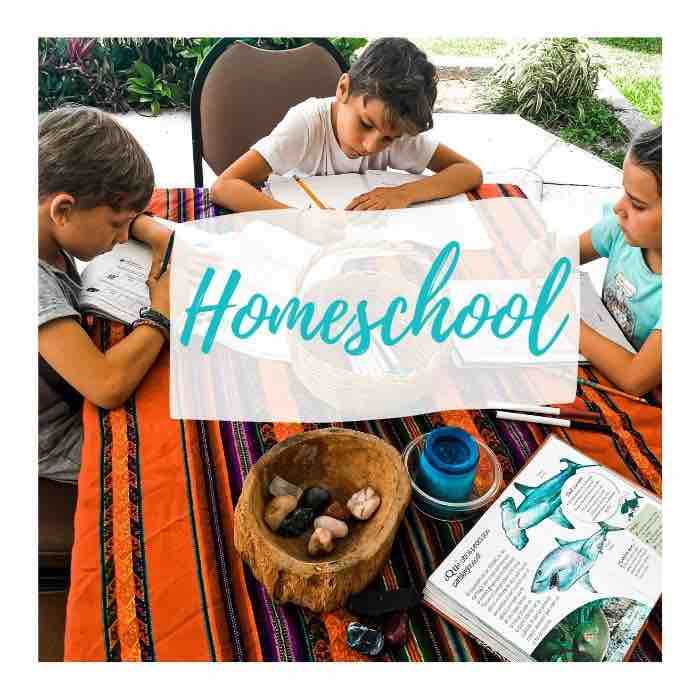 niños estudiando educaciones en casa homeschooling